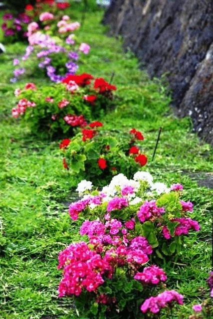 Bed and Breakfast Etna Hut Nicolosi Exterior foto