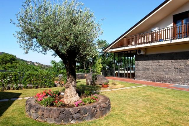 Bed and Breakfast Etna Hut Nicolosi Exterior foto